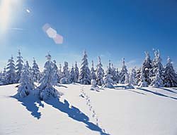Winter im Bayerischen Wald