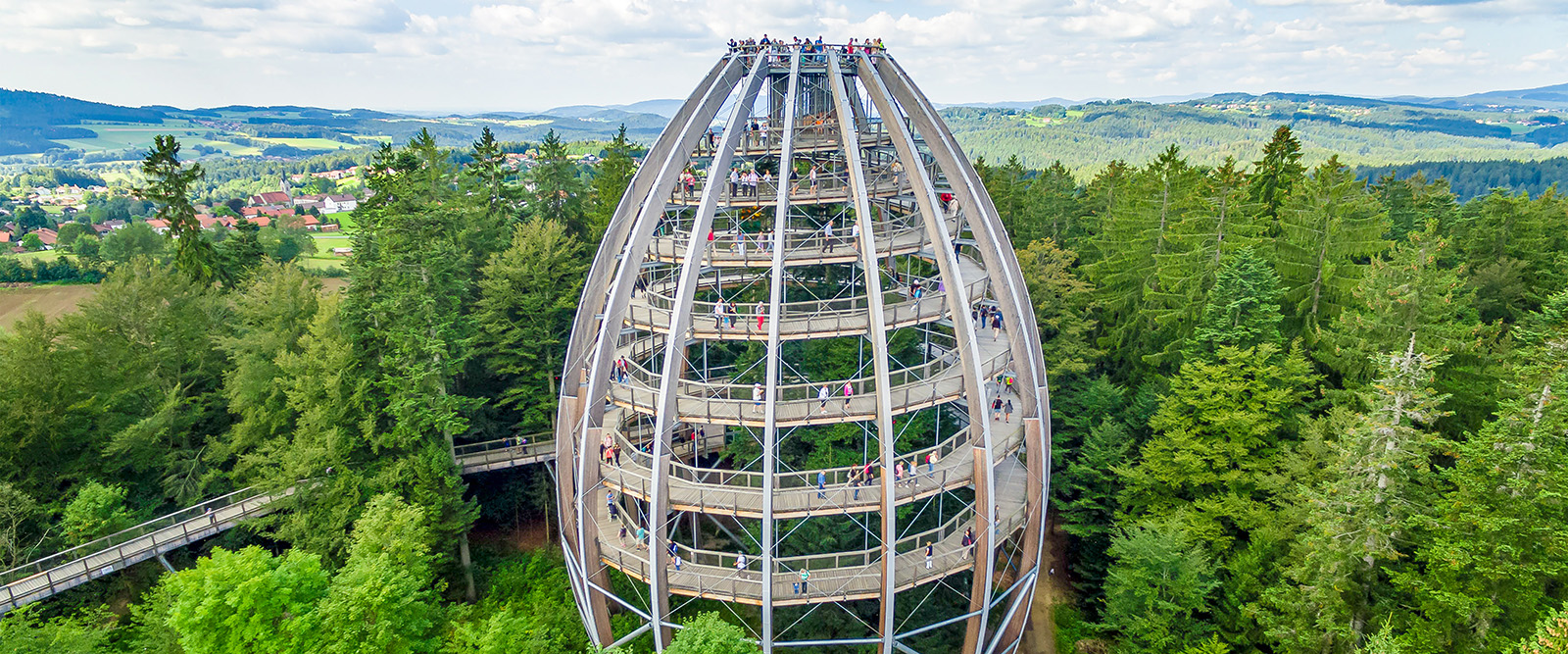 Baumwipfelpfad im Nationalpark Bayerischer Wald