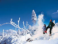 Skifahren im Bayerischen Wald