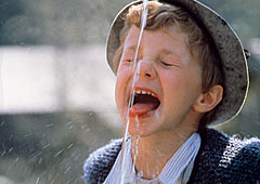 gesundes kristallklares Quellwasser in Bayern