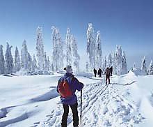 Langlauf im Bayerischen Wald