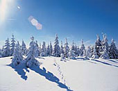 Winter im Bayerischen Wald