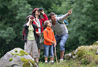 Wandern im Nationalpark Bayerischer Wald