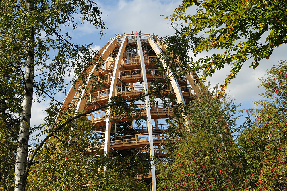 Baumwipfelpfad im Nationalpark Bayerischer Wald