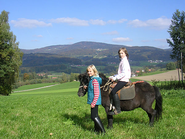 Reiterhof Bayerischer Wald