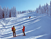 Skigebiet Dreisessel im Bayerischen Wald