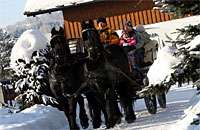 Gesellschaftskutschfahrten im Bayerischen Wald