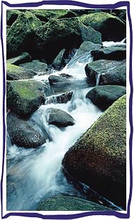 Ilztal Wanderung Bayerischer Wald Ilz Ohe Wandern