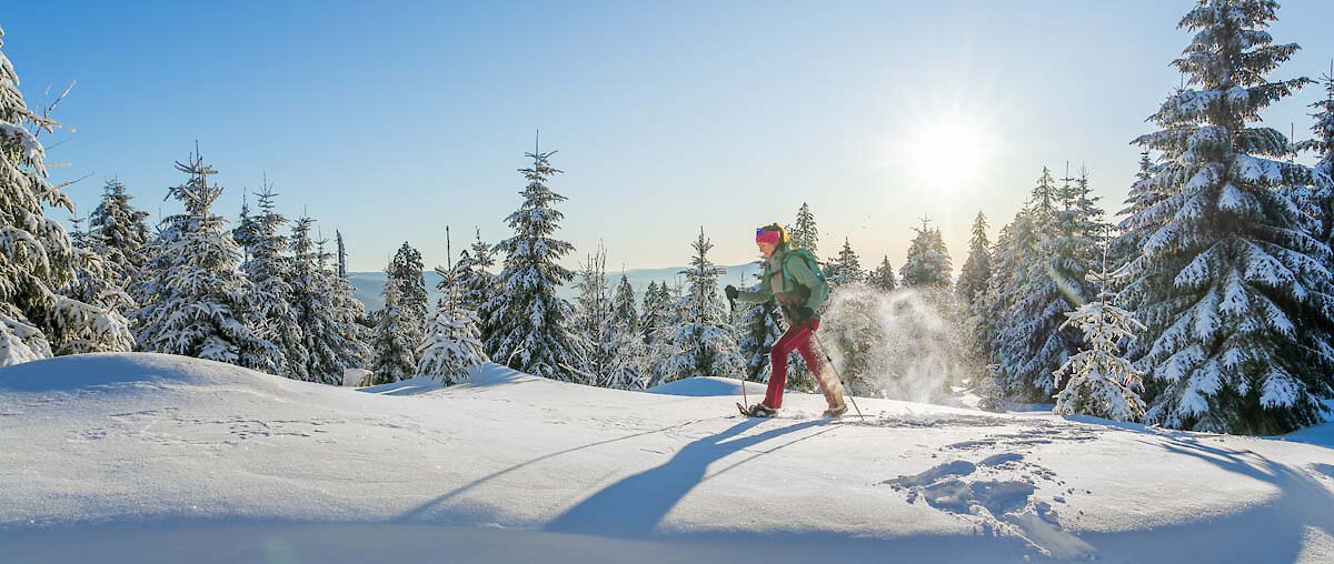 Winter im Nationalpark Bayerischer Wald