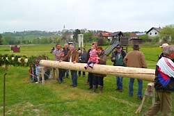 Maibaumaufstellen im Bayerischen Wald