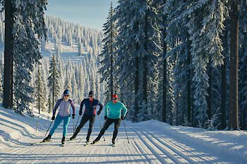 Winterhotel Bayerischer Wald