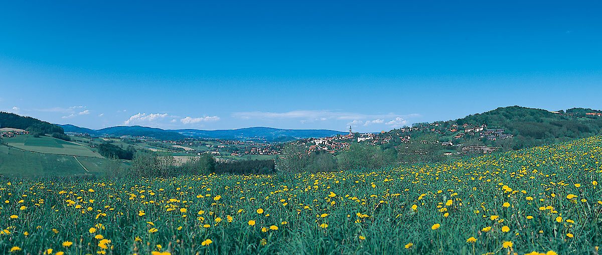 Blick auf Ort im Bayerischen Wald